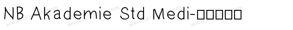 NB Akademie Std Medi字体转换